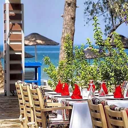 Ephesia Club 4*